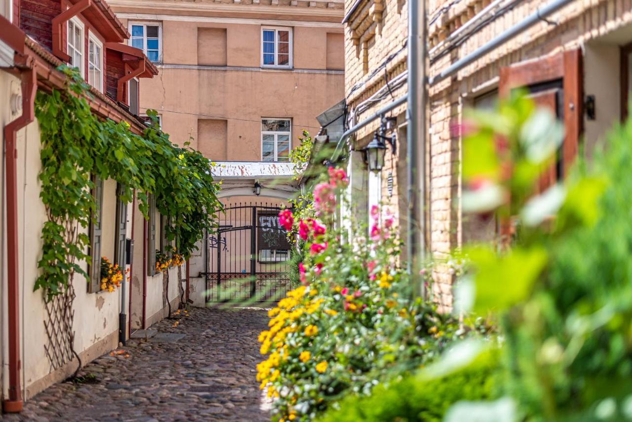 Sun Lighted Cathedral Square Studio Apartment Vilnius Exterior photo